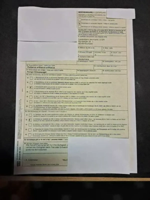 Kongo-Graupapageienbabys, super zahm und sehr lieb. Bild 4