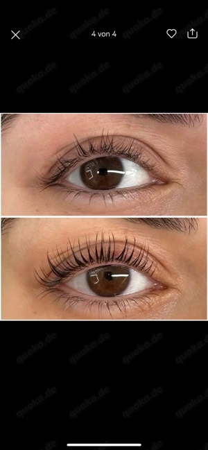 Lash und Browlifting Bild 5