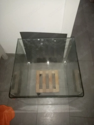 Aquarium cube wie danerle Bild 4
