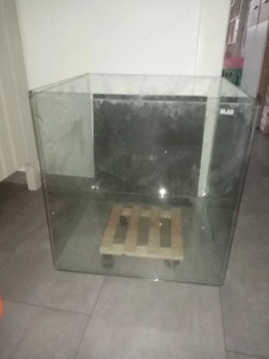 Aquarium cube wie danerle