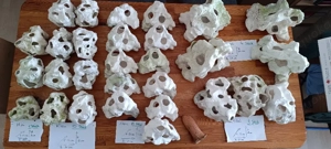 Aquarium Lochsteine Deko Keramik 