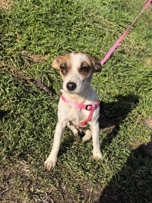 Sara sucht ein Körbchen 