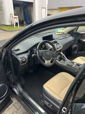 Lexus NX 300h Executive Line Garantie 8 Rad Panorama