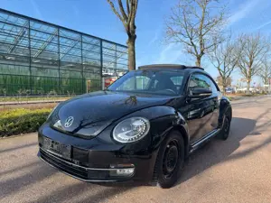 Volkswagen Beetle 1.6 TDI Cup Xenon/Panorama