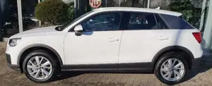 Audi Q2 quattro Automatik LED Navi Allrad Bild 3