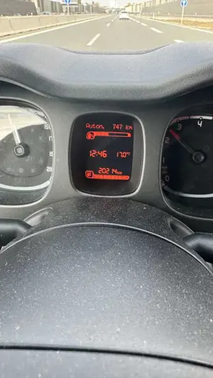 Fiat New Panda Hydrid Bild 5