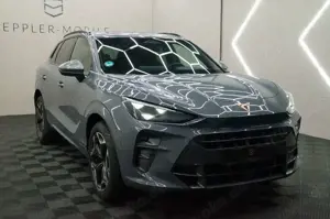 CUPRA Terramar 1.5eTSI DSG HUD ACC 360°Pano Neuwertig Dinamica