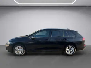 Volkswagen Golf VIII Variant 2.0 TDI Life DSG ACC LED Bild 3