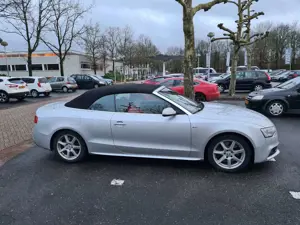 Audi A5 A5 Cabrio 3.0 TDI DPF quattro S tronic