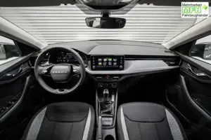 Skoda Scala 1,0 TSI DSG Selection - LAGER 85 kW (116 PS), A... Bild 5