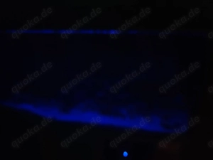 aquarium mit viel zübehör zu verkaufen 