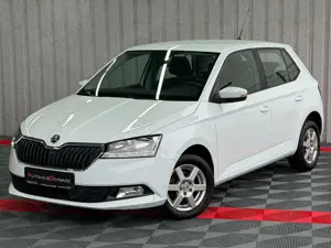 Skoda Fabia Active PDC AHK Led 8Fach ZV Klima Alufelgen Bild 3
