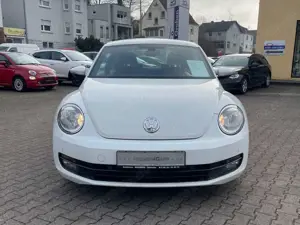 Volkswagen Beetle Basis