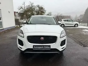 Jaguar E-Pace E-PACE Basis Bild 5
