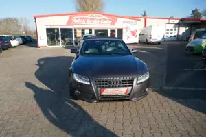 Audi A5 2.0 TFSI Cabriolet S line Windschott Bild 3
