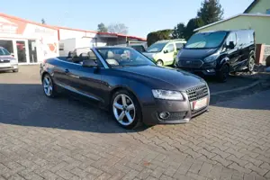 Audi A5 2.0 TFSI Cabriolet S line Windschott Bild 5