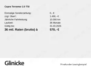 CUPRA Terramar 2.0 TSI 4Drive DSG, RFK, FULL LINK Bild 2