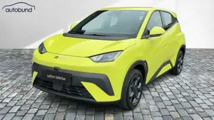 BYD Dolphin Dolphin Surf Boost Alarm Alu DAB Keyless Klima