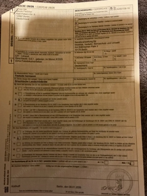 Griechische Landschildkröten