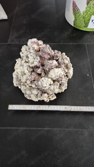 Meerwasser Aquarium Steine  Bild 4