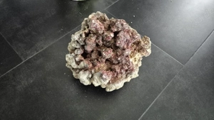 Meerwasser Aquarium Steine  Bild 2