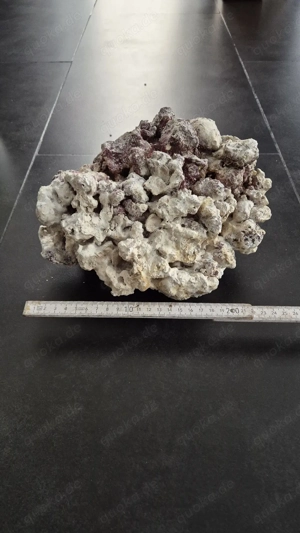 Meerwasser Aquarium Steine  Bild 3