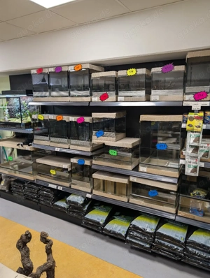Glasterrarien in verschiedenen Größen   sofort verfügbar Bild 2