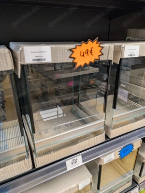 Glasterrarien in verschiedenen Größen   sofort verfügbar