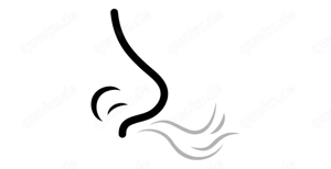 Ungewaschene Sie gesucht!