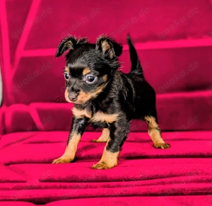 Schöne Mädchen Russkiy Toy Bild 2