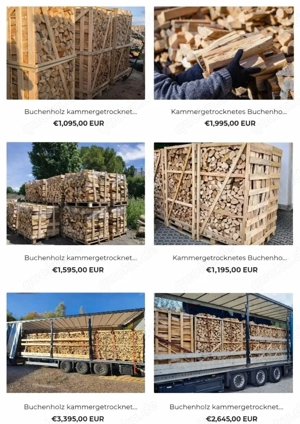 Buchenholz kammergetrocknet   halber & kompletter LKW mit Lieferung