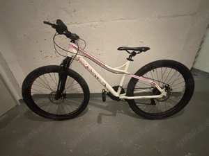 Mountainbike Damen 