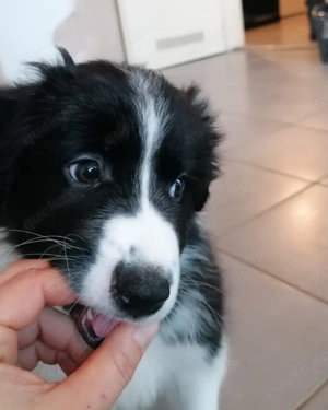 Wir sitzen auf gepackten Koffern