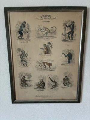 Zwei altenglische Litografien