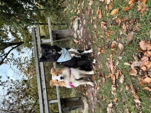 Wir sitzen auf gepackten Koffern