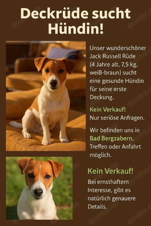 Wir suchen ein Mädchen, mit dem unser Sohn eine Beziehung eingehen kann.