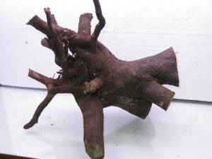 verschiedene Wurzeln, Dekoholz, Holz, Wurzelholz, für Terrarien Bartagamen, Geckos, Schlangen etc. 