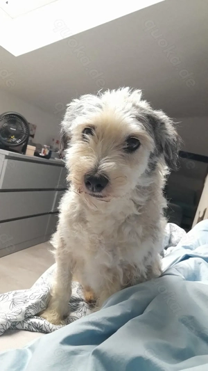 Wanderpartner gesucht 