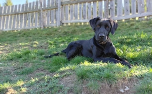 Harald sucht sein Happy End