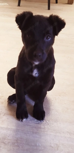 Wo bleibt mein Kuschelplatz?