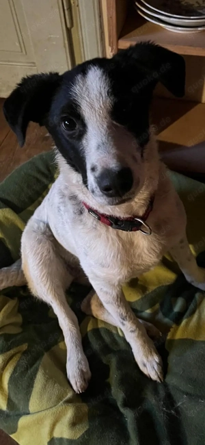 Ich bin Resa - und habe mir mein Leben zurück erkämpft