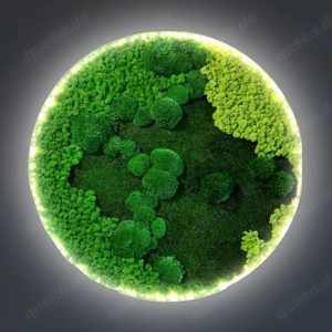 Luxus 80 cm Moosbild mit LED-Beleuchtung   Premium Mix-Moos handgefertigt von Ekomoss