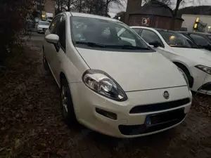 Fiat Punto Evo Punto 0.9 Twinair Start Bild 2