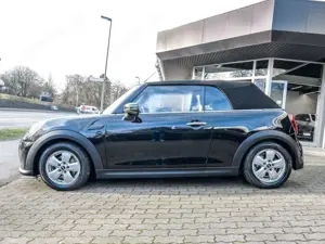 MINI One Cabrio One Cabrio "The next 100 Years" LED+SHZ+KZG+DAB+PD Bild 4