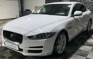 Jaguar XE Pure, Navi, Sitzheizung, Tempomat, Xenon Bild 4