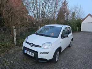 Fiat Panda Panda 1.0 GSE Hybrid