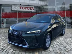 Lexus UX 250h Luxury Line Vollausstattung* gut gepflegt