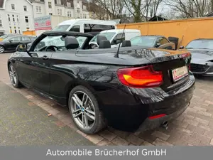BMW 240 Cabrio LED/NaviProf/Kamera/HK/19"/Lnkrdhz Bild 5