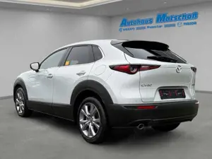 Mazda CX-30 SKY.-G140 Aut.Exclusive-Line HUD Navi BOSE ACC App Bild 3
