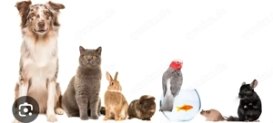 Tierklappe statt babyklappe 